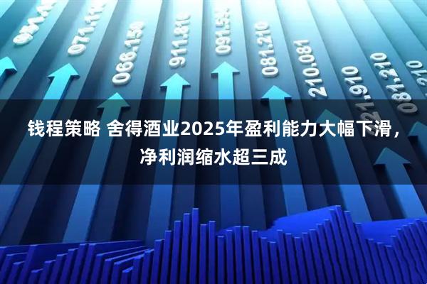 钱程策略 舍得酒业2025年盈利能力大幅下滑，净利润缩水超三成